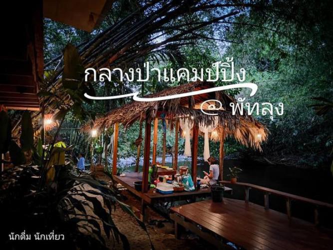 กลางป่าแค้มปิงค์